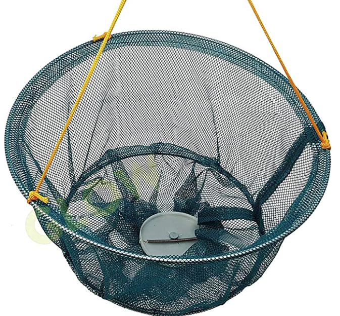 Crabbing: Top 5 Tips, Crab Care + Beginners Guide (UK)