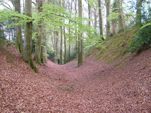 Image showing woodbury common