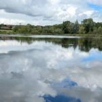 The lake at steam mill lodges is around 7 acres, this is the view from the lakes only fishing peg for lodge guests