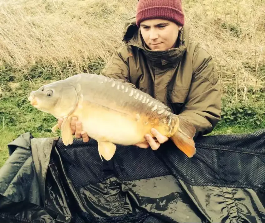 A nice mirror carp from the lake