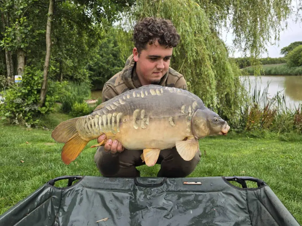 A larke mirror carp caught at Opal Lakes