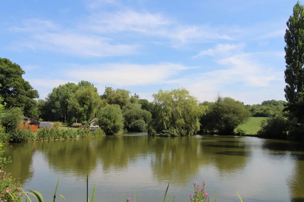 Lake exclusive and a 2 bedroom lodge at Stenhill fisheries