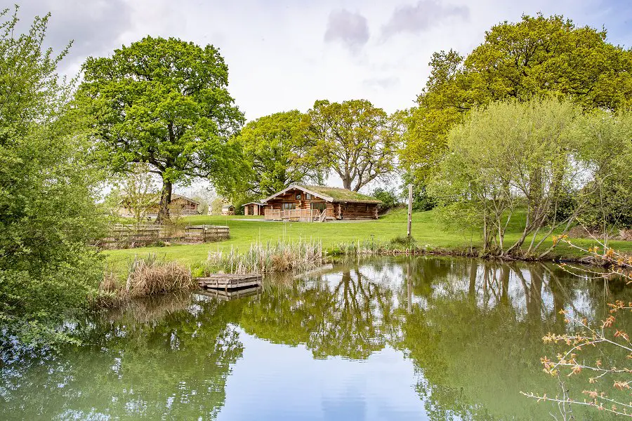 Spring Heath lodges - a green roofed rustic lodge set back from the corner of a fishing lake