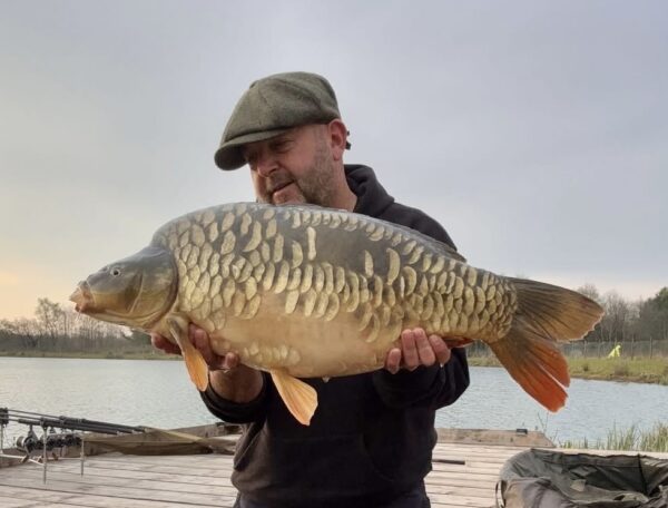 Big mirror carp with mixed scale pattern