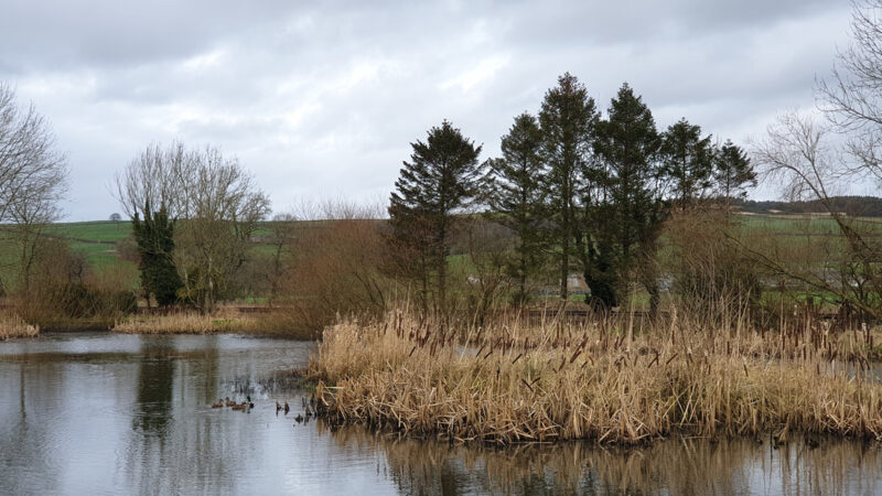 Docker Holiday Park