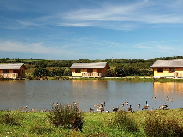 Clovelly Lakes