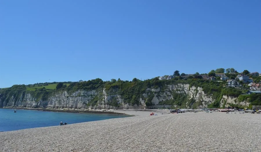 Pebble beach at Beer in Devon backed by white chalk cliffs and clifftop houses