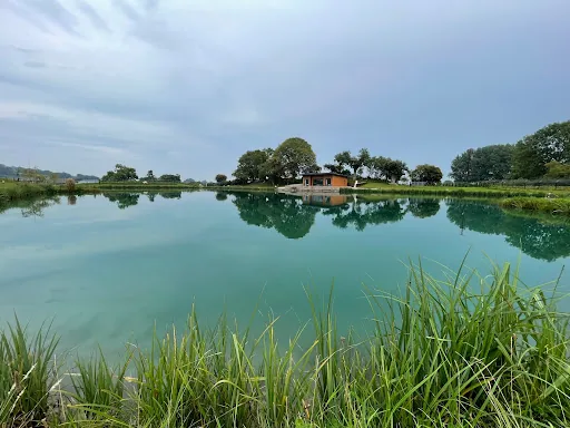 The Pines lodge beside its private lake at Blackthorn Fisheries Pines Lake Lodges, Oswestry