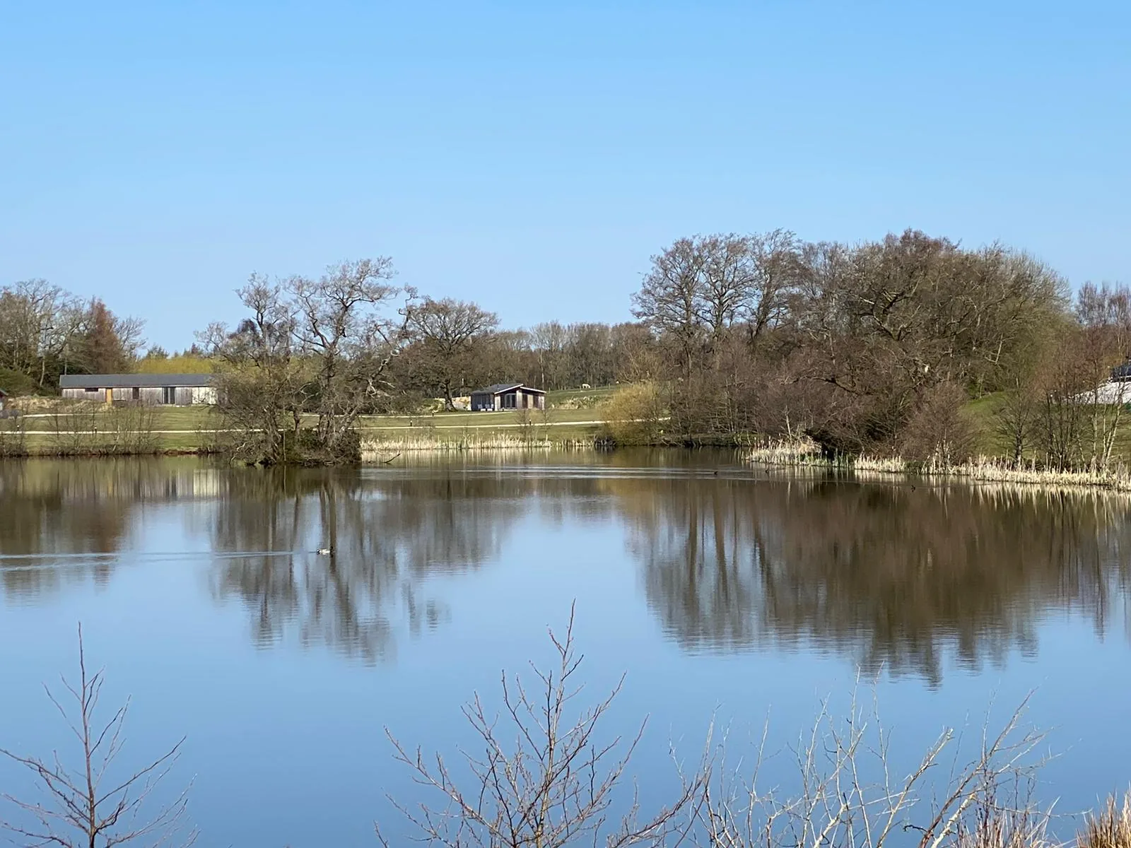 Timber fishing lodges set back from a calm lake with bare trees and clear sky