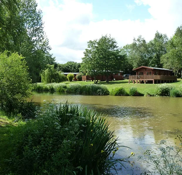 Fishing lake with lodges set back on a grassy bank among trees