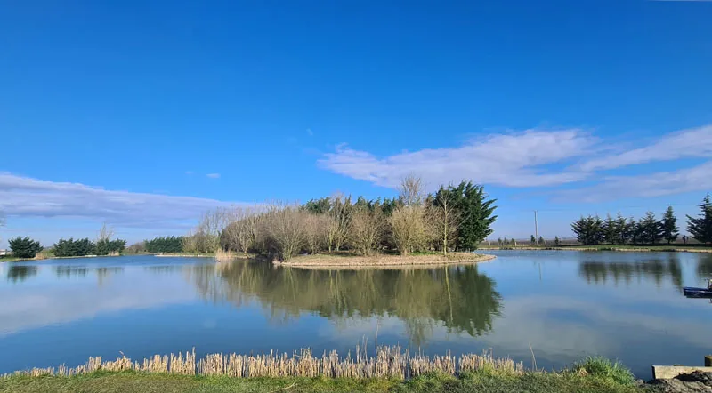 The largest lake at Fenview Lakes with a tree covered island and still reflections