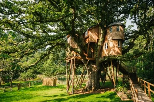 Luxury treehouse lodge built around a large oak tree with a raised walkway and decking