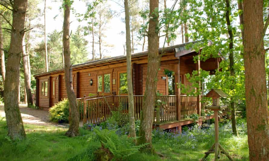 Timber lodge with a wooden veranda set among woodland trees and bluebells