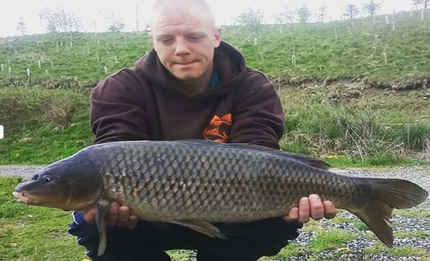 An angler kneeling on a bank holding a common carp caught at a lake