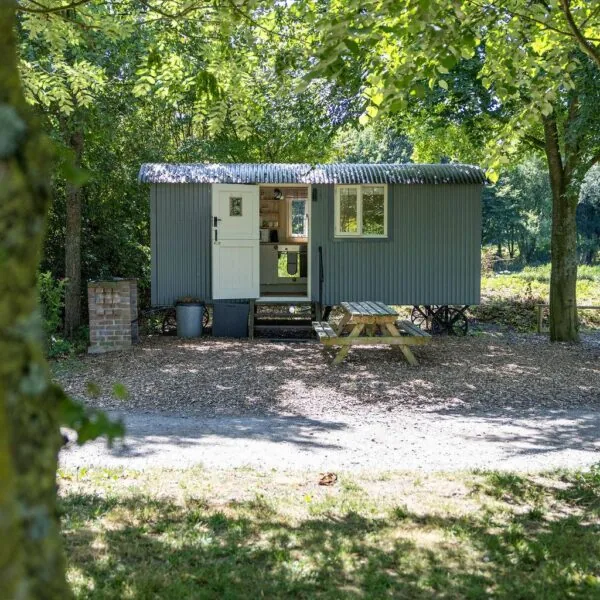 Green corrugated shepherds hut at Meon Springs with a picnic table and trees behind
