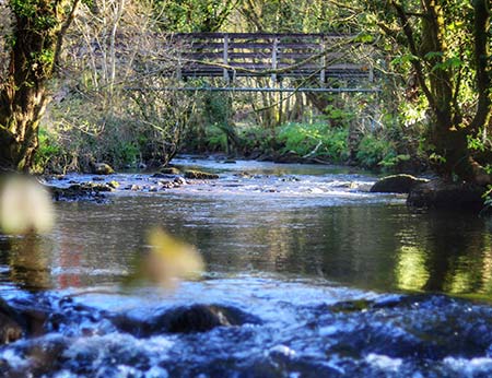 Shallow rapids on the River Camel in Cornwall with a wooden footbridge across the water