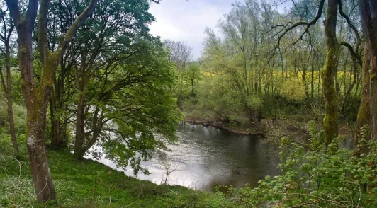Bend in the River Wye with tree-lined banks and a fishing platform on the far side