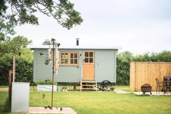 Sage green shepherds hut with wooden door, steps and a fire pit on the patio
