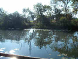 Tree-lined fishing lake with lily pads at Thornham Lakes Lodges, Norfolk
