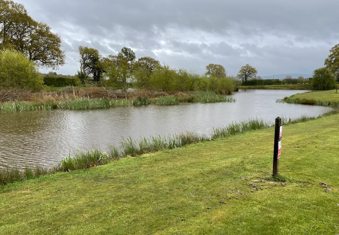 Grassy bank and fishing pegs beside the coarse fishing lake at Wigmore Lakes, Shropshire