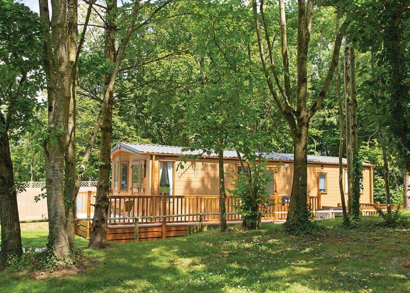 Timber lodge with decked veranda among mature woodland at Woodbury Woods, Devon