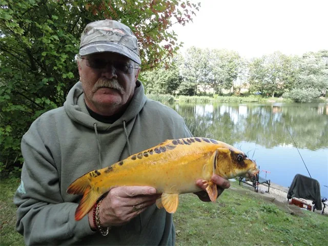 An angler holding a golden koi carp beside a tree-lined lake